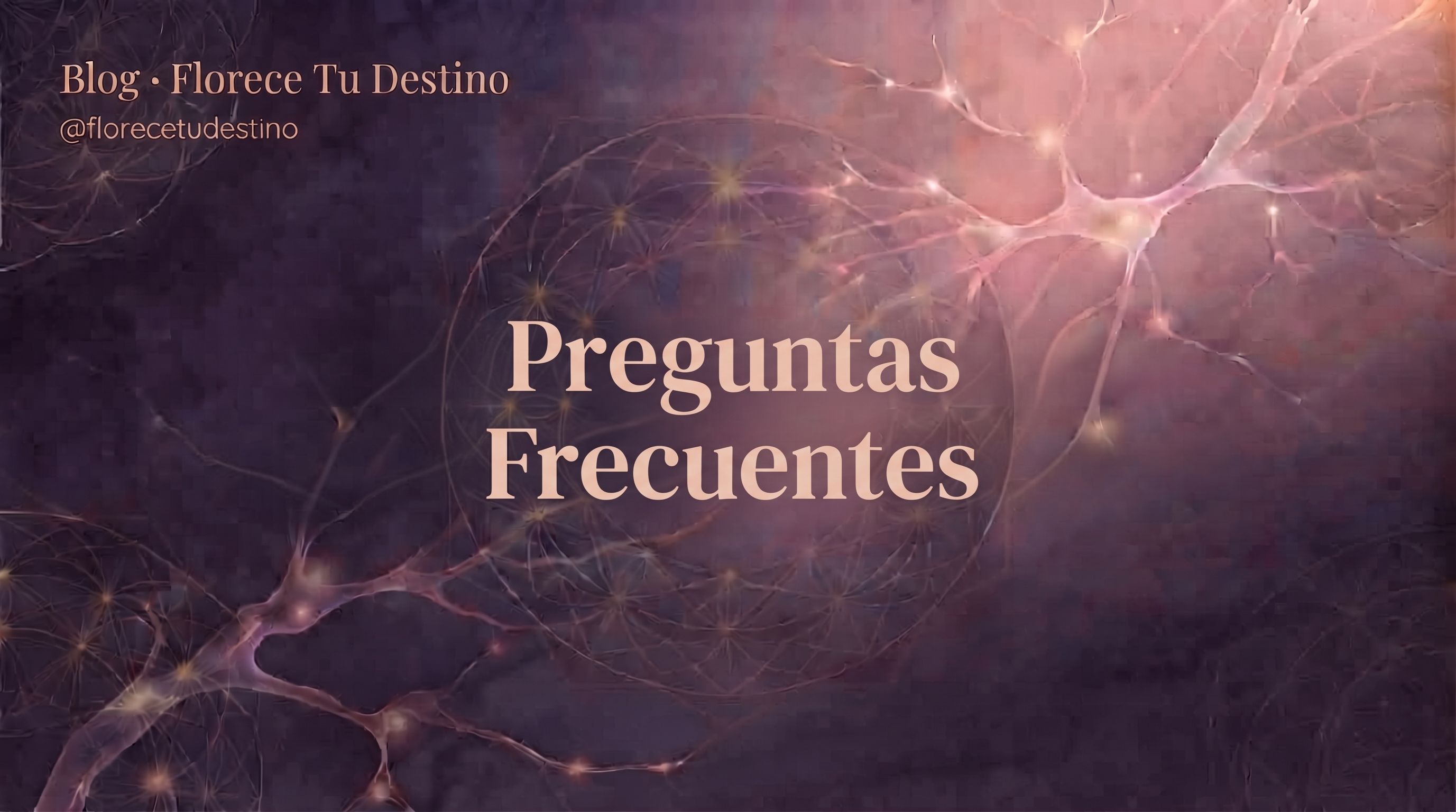 Preguntas Frecuentes (FAQ sobre Neurociencia y Coaching Junguiano)