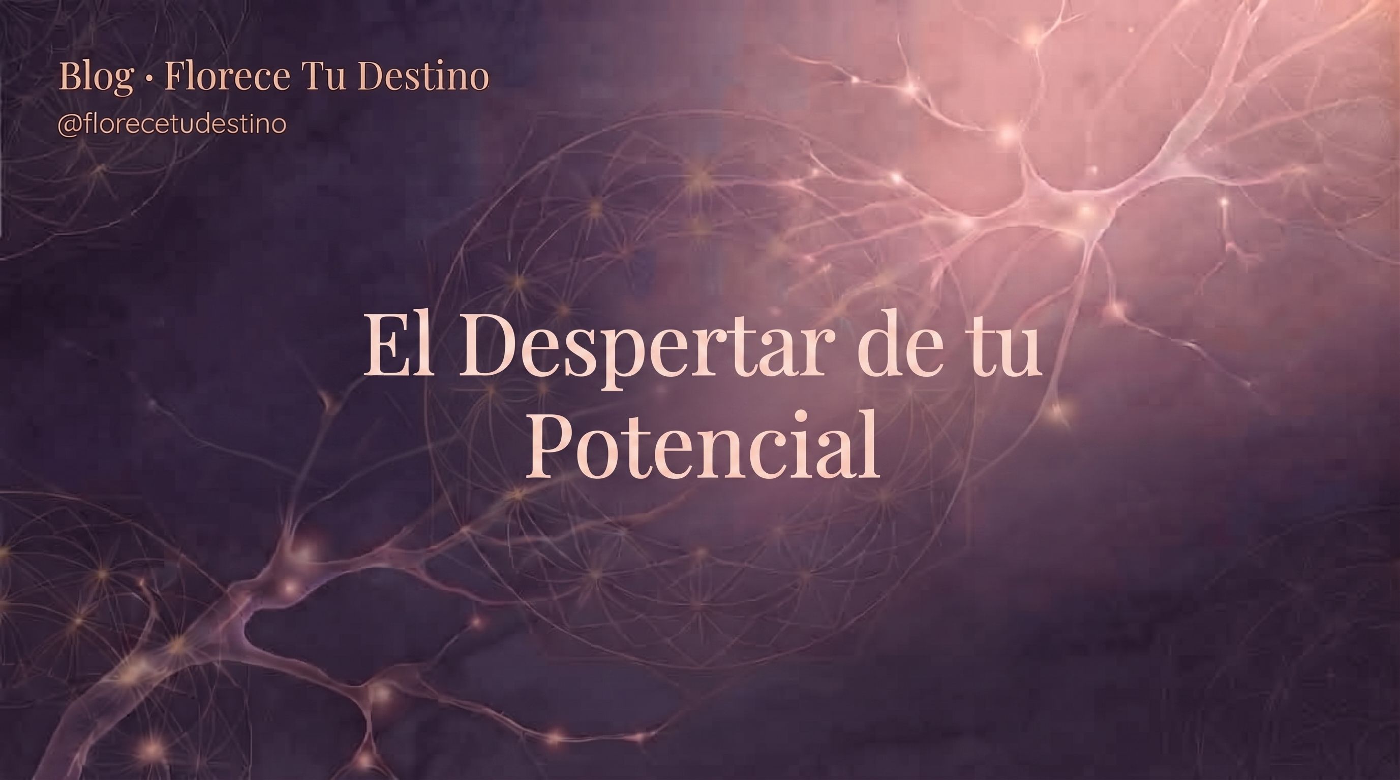 ✨🧠 El despertar de tu potencial