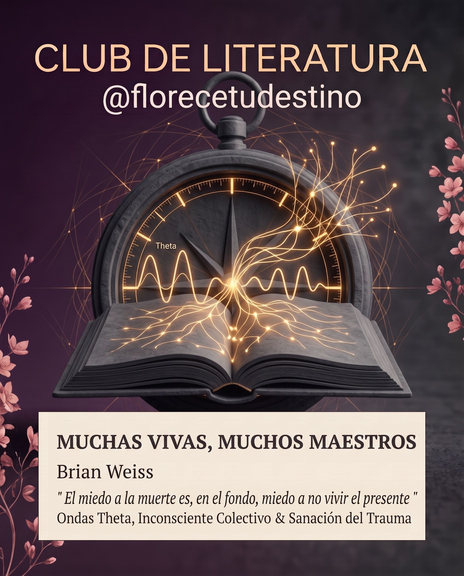 ⏳ Muchas vidas, muchos maestros: El viaje transpersonal y la sanación del presente